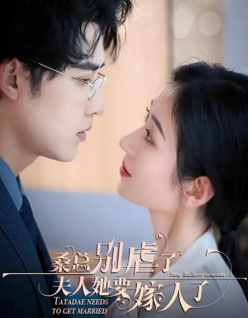 热播电视剧长夜将明全集在线观看